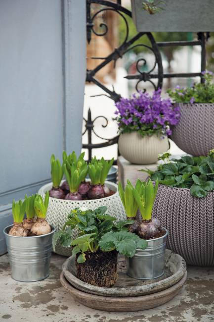 Кашпо Cozies S  подвесное серый